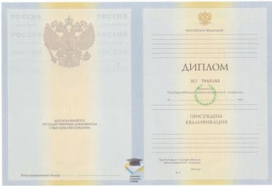 Диплом НЭПИ 2010-2011 годов